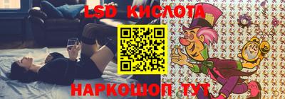 стафф Вязьма