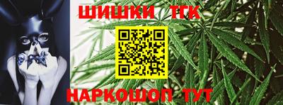 прущие грибы Гудермес